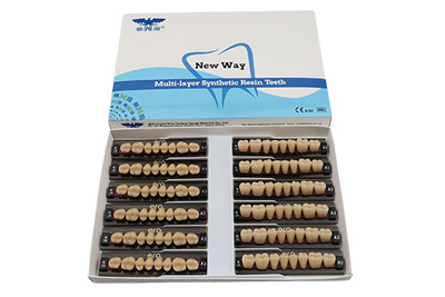 Three Layer Acrylic Resin Teeth - R102 - R102