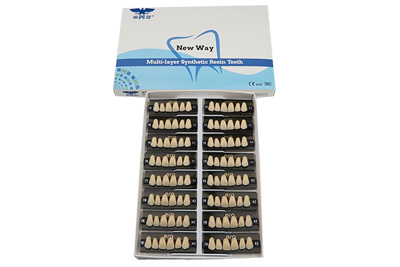 Three Layer Acrylic Resin Teeth - R103 - R103