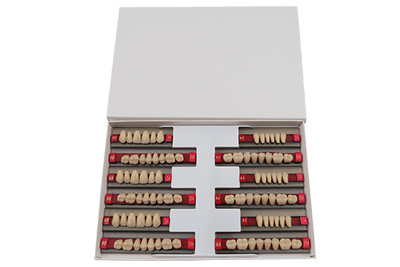 Three layer Synthetic Resin Teeth - SCS - SCS