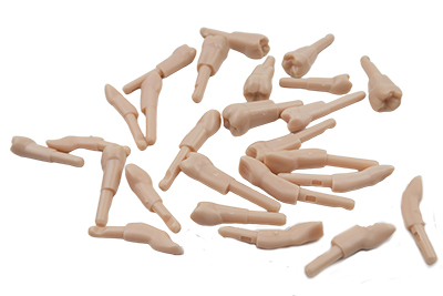 Replacement Tooth Model - TM-DK - TM-DK