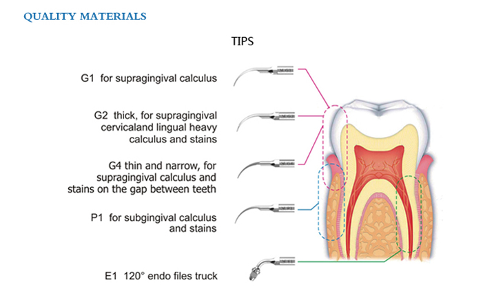 ULTRASONIC SCALER